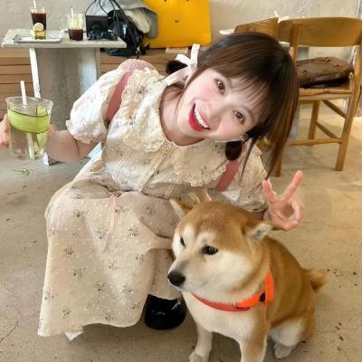 寻找酷巴熊